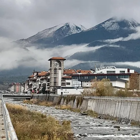 Belvedere Club H79 *